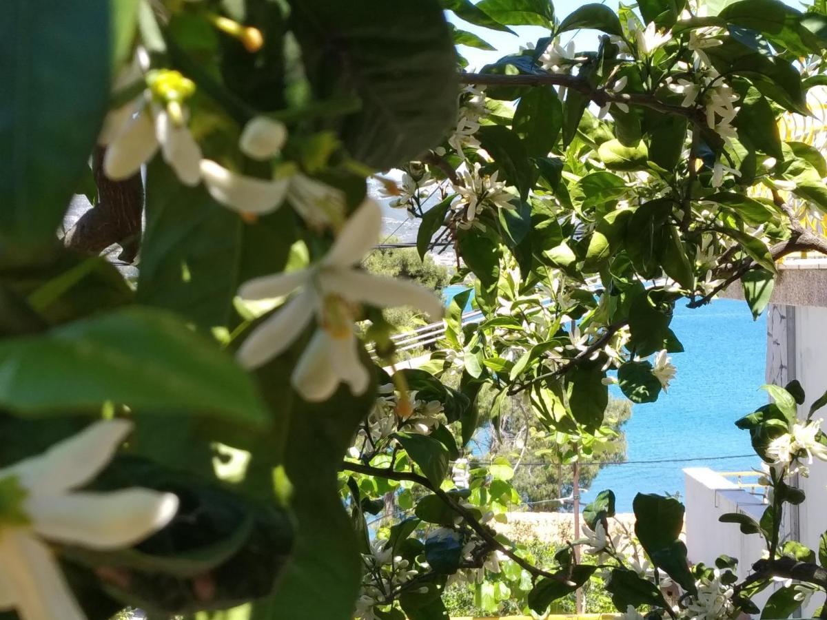 Apartment Nely - Sea, Terrace And Peace Трогир Екстериор снимка